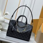 Louis Vuitton Bags