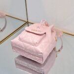Dior Bags - Image 7